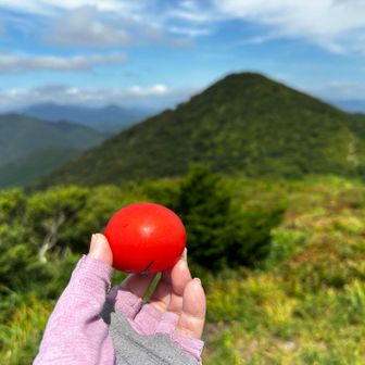 池の段。
立烏帽子へ冷え冷えのトマトを捧げ
アタシのお口へ😋
いただきまーす🙏