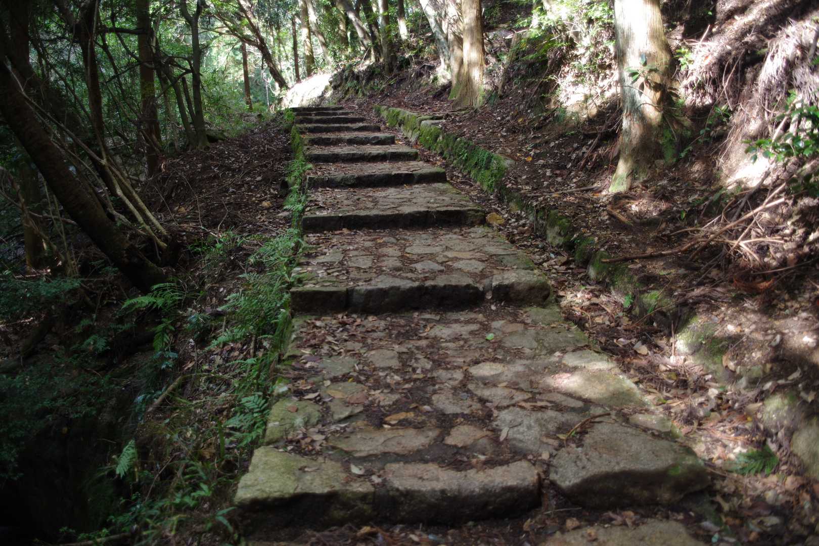 新神戸駅-滝山城跡登山口-城山-再度山-再度越 周回コースの写真