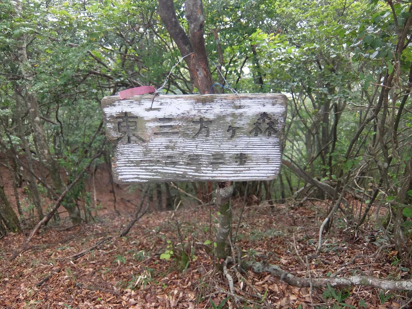 東三方ヶ森登山口-東三方ヶ森 往復コースの写真