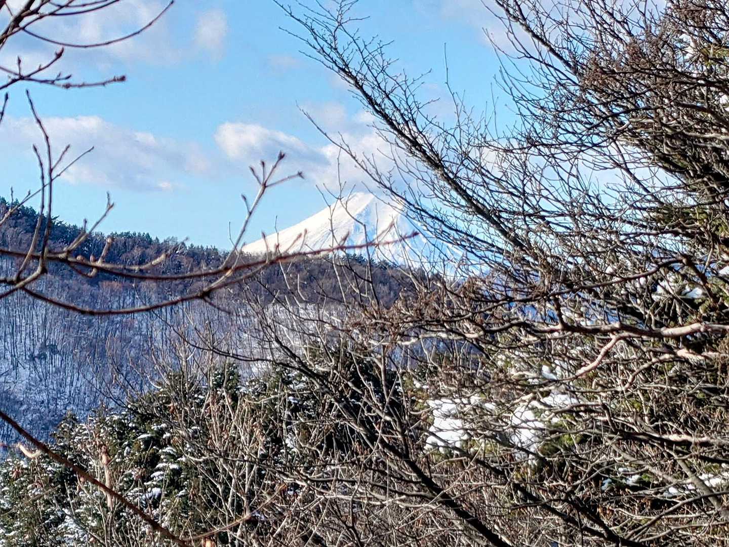 ひょっこりビックボス🗻