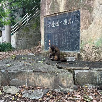 にゃんおった。にゃんだァ？てめェ😀