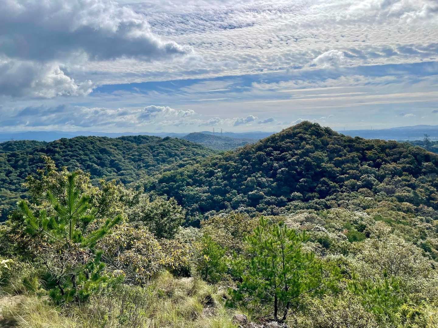 登って来た山