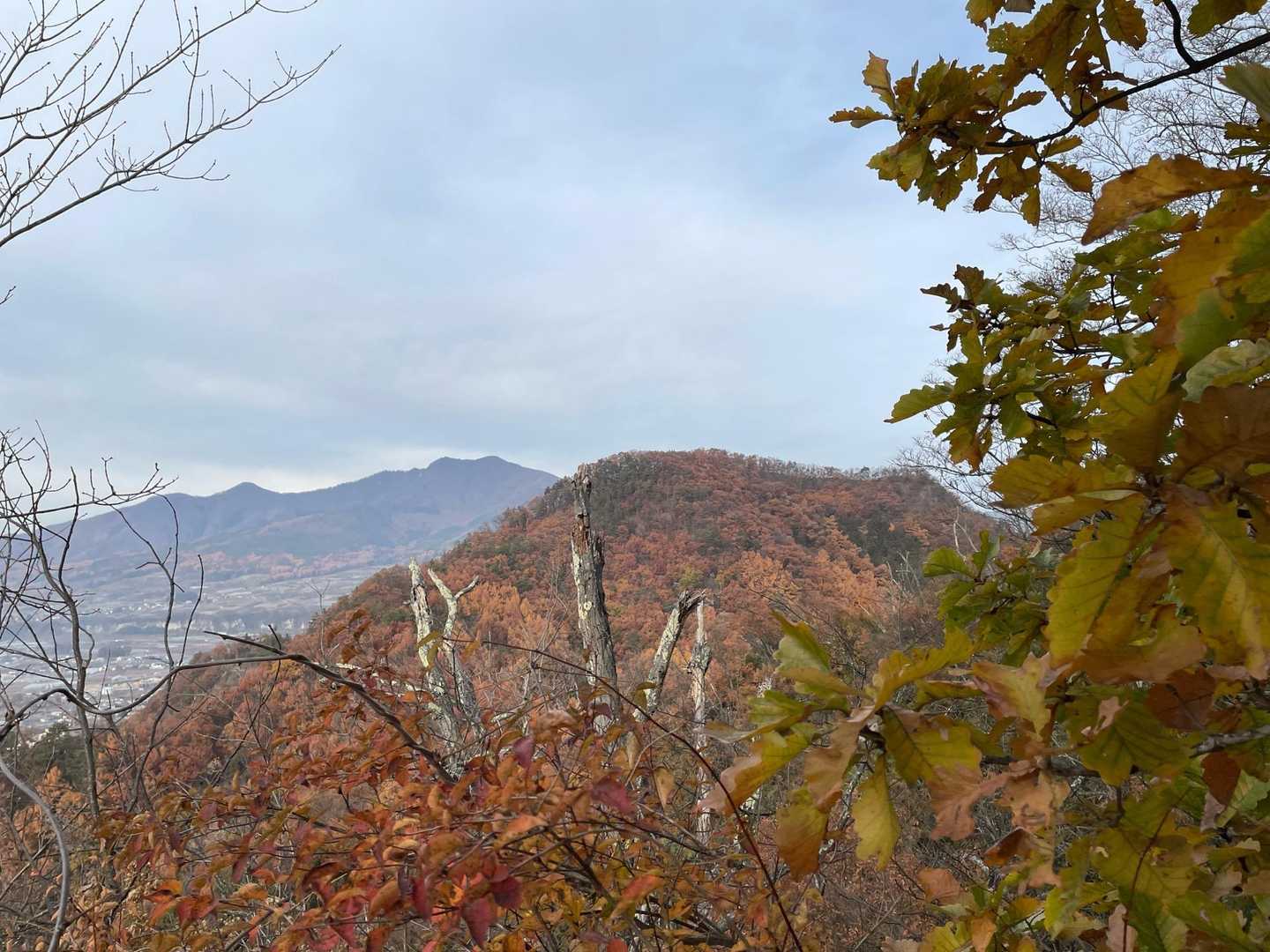 箱山。その後ろに高社山