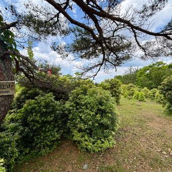 伊勢辻山

伊勢？
そうか、ここは三重県でした