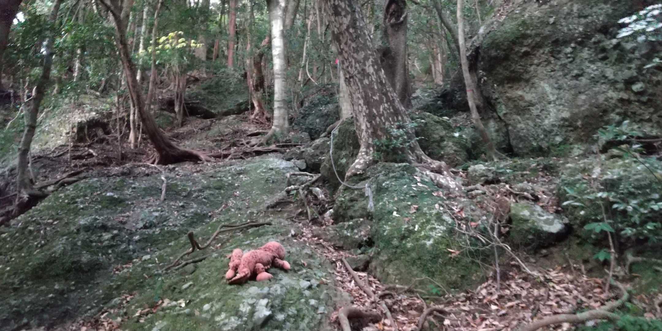 岩場をヨチ登る💦