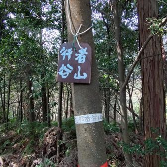 行者谷山(グレーピーク)
踏み跡はあるけど歩きにくい