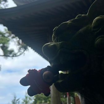 縁起よさそうなので
噛んでもらう(o´罒`o) ｶﾘｯ