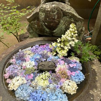 手水場の隣に綺麗な紫陽花で飾られた亀の石像？がありました。