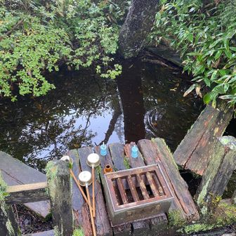 山頂には池が有った