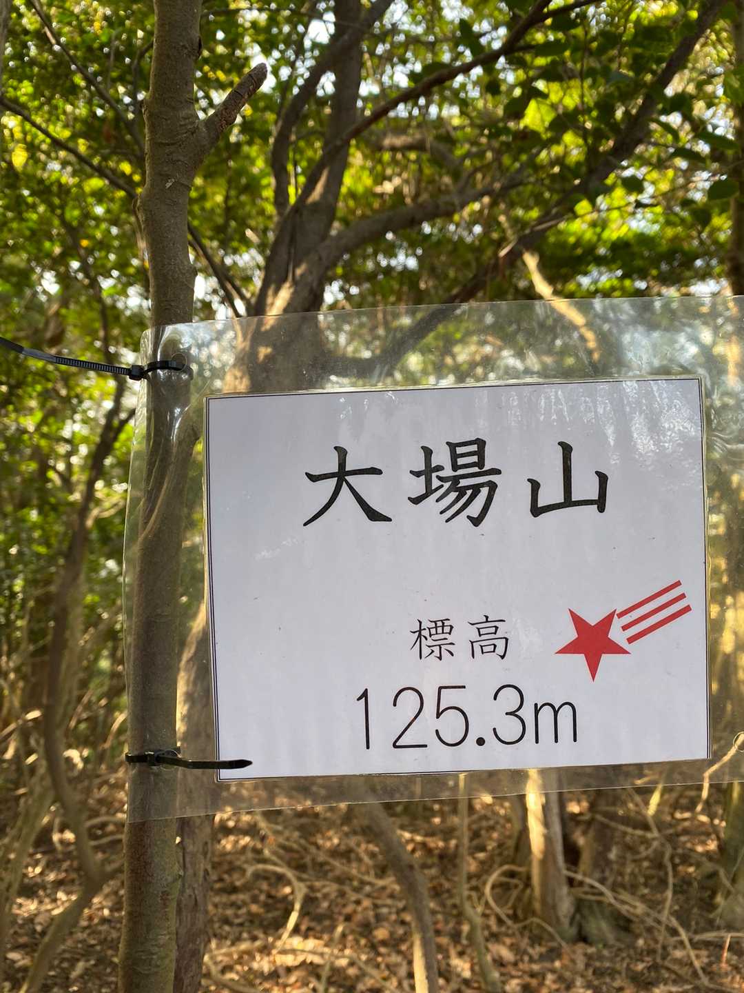 ピンクテープはないけど、何となく上に行けばスグに着きます😁