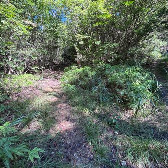 林道から登山道へ入る