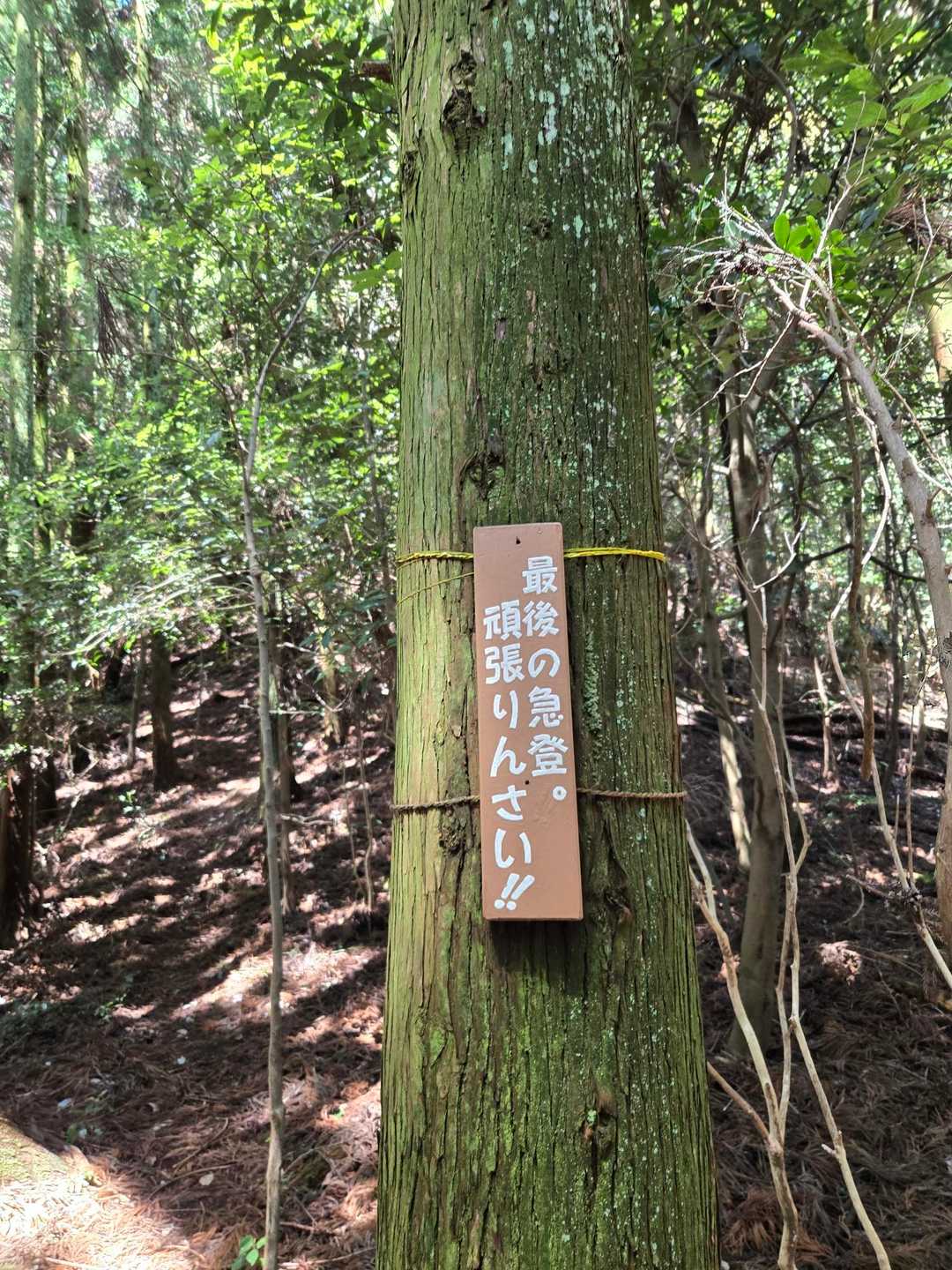 去年より登りのスピードがでなくなりました。
悲しい😖💦…ですが、1歩1歩足を出せばいつかは着くよ…と自分を慰めます(笑)