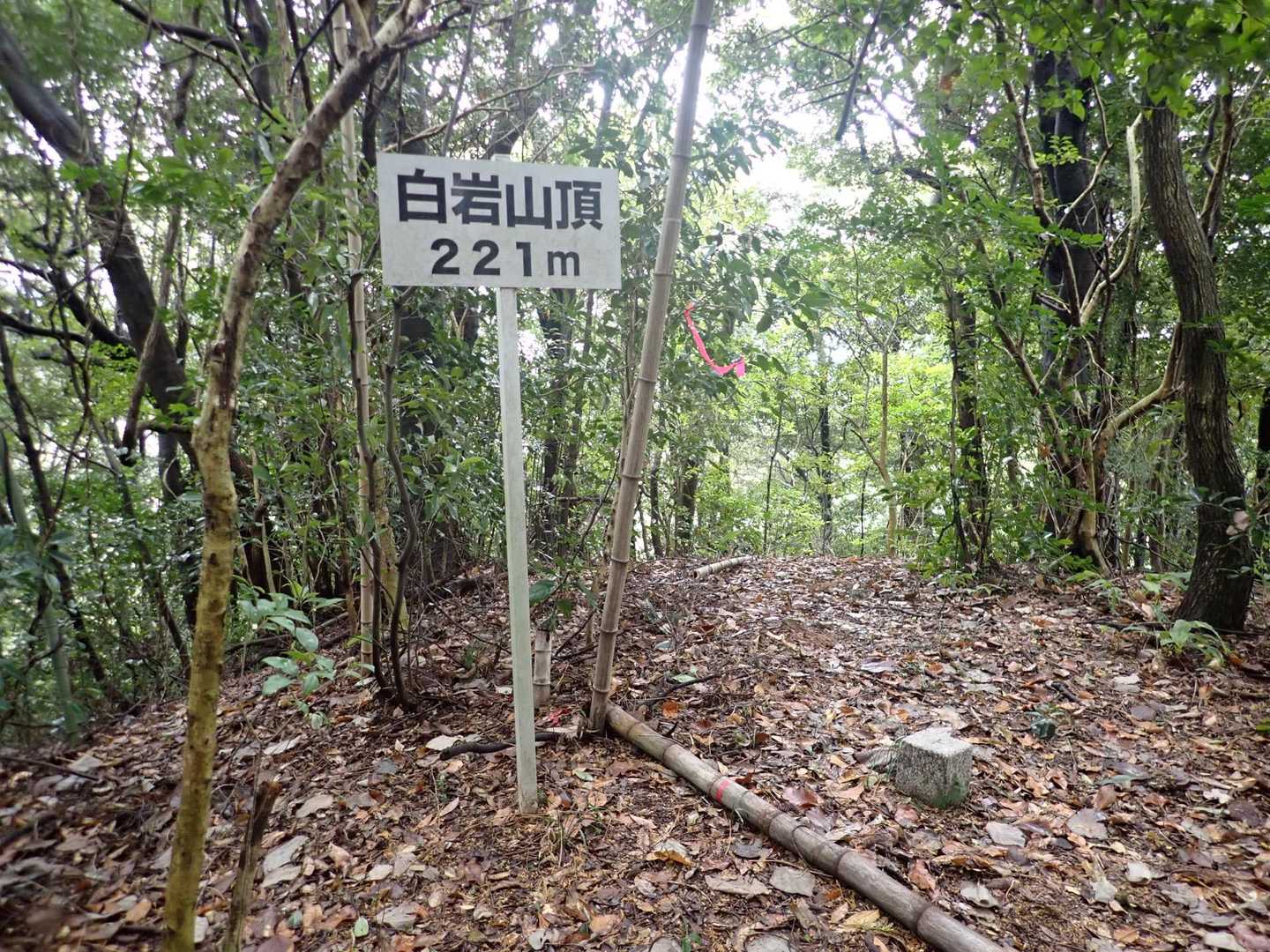 山頂　展望なし
