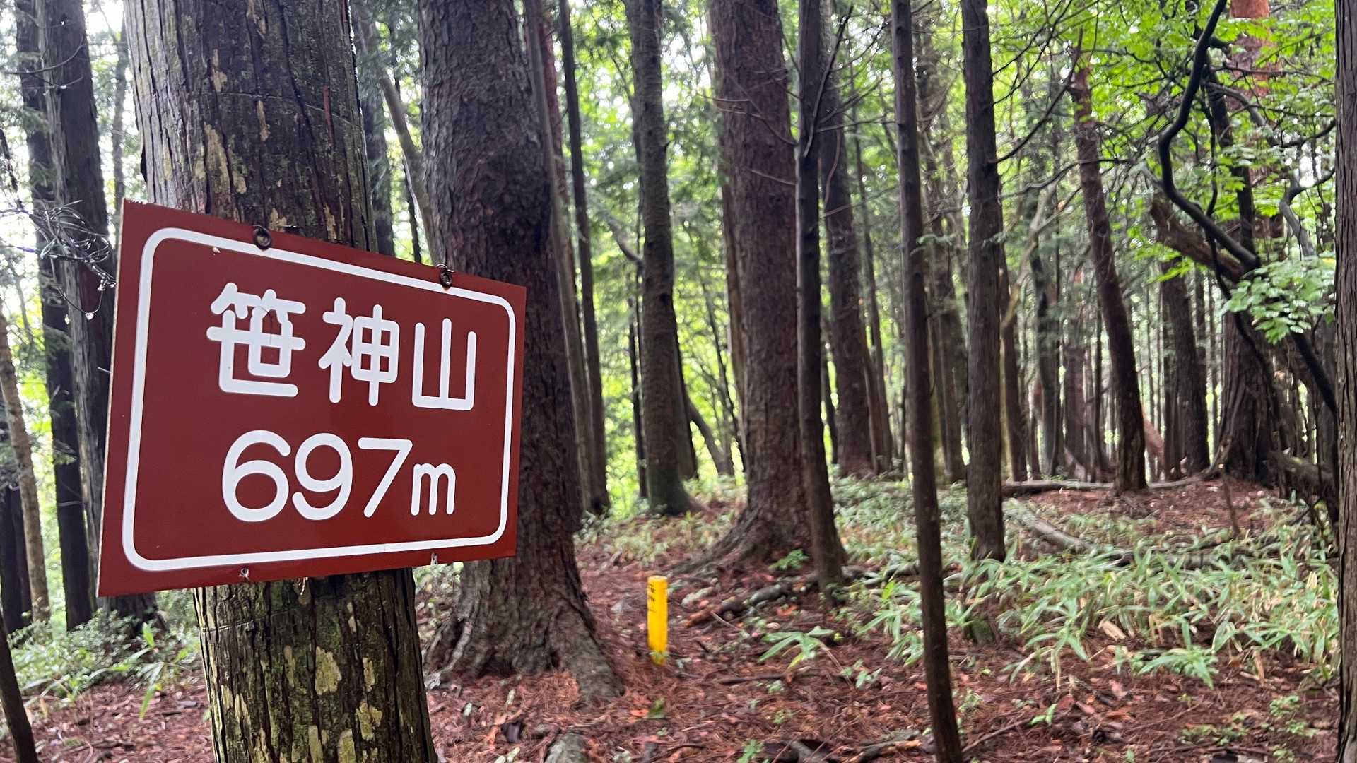 ここは初めて！
