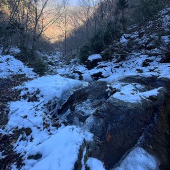 長靴なんで、変に草付き歩いたりしないで
沢をザバザバ歩く