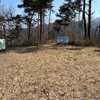 こちらの山頂も広い