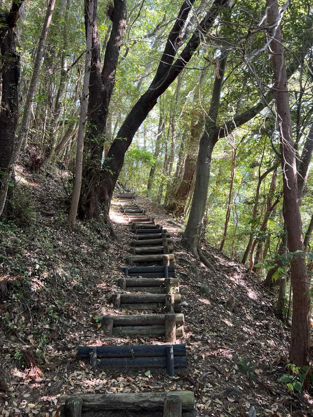 火剣山 往復コースの写真