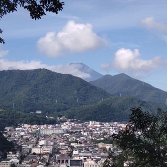 富士見展望台から富士山見えました