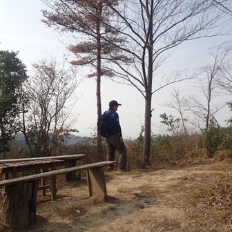 根来両景峰(385m)｡
🎊登ったぞー＼(^o^)／