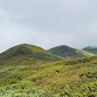 秋の気配