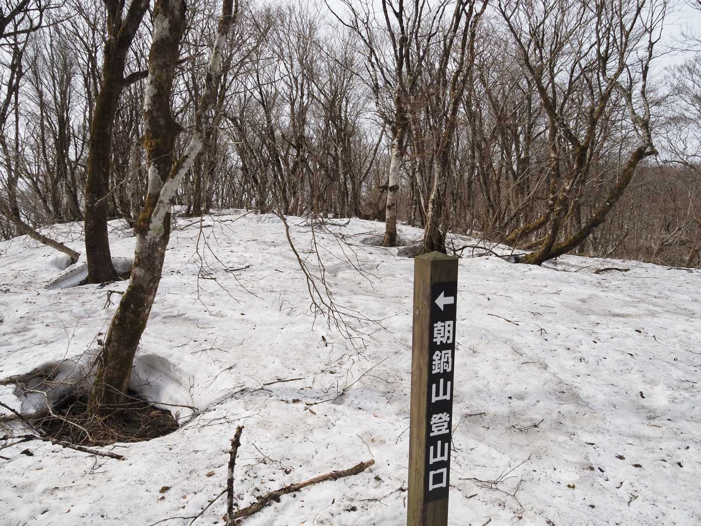 稜線まで上がると山頂はもう直ぐソコです。🆗
┐(´д｀)┌ﾔﾚﾔﾚ