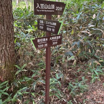 首切られた場所を名所？にするのってどうなんかな。行く気失せるのは私だけ？