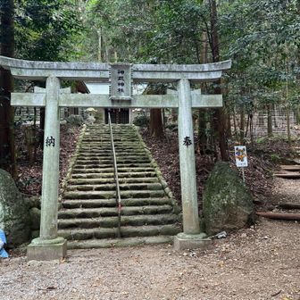 ⛩️神武神社の鳥居から🙏