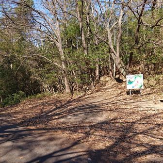 大坂峠、筆山へ。
登りで10数名のグループに出会う。平日なのに20名以上の方と出会った。