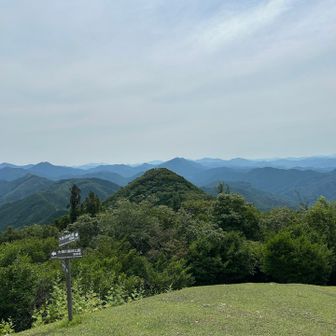 しかしここの山頂は良いね