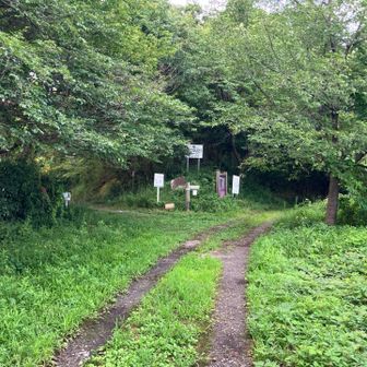 イヤー、なんか怖い🐻左に行く