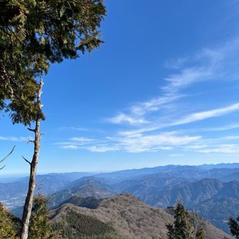 来て良かった③