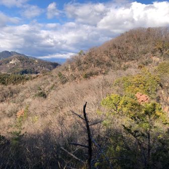 遠くに二股山。