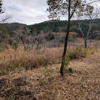 葦毛湿原。この後、駐車場への道を間違え、宅地を通って、到着。
コメント入れてて、改めて思ったこと。ボクは子どものころから、左右を急に言うと間違える。左か右かを考えてから言わないと間違える。今回もコメントの左右を見直すと間違えていて書き直してる。昔からなので気にしてない