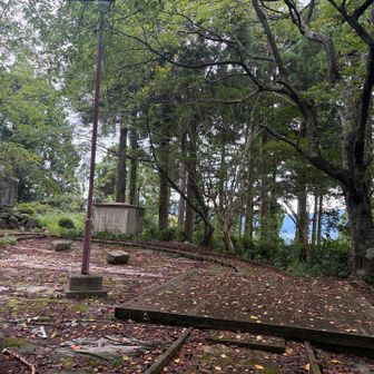 お城の基礎の形残ってるけど、
山頂看板見つからん
