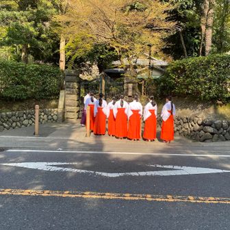 鶴岡八幡宮への移動中の図。巫女さん研修中