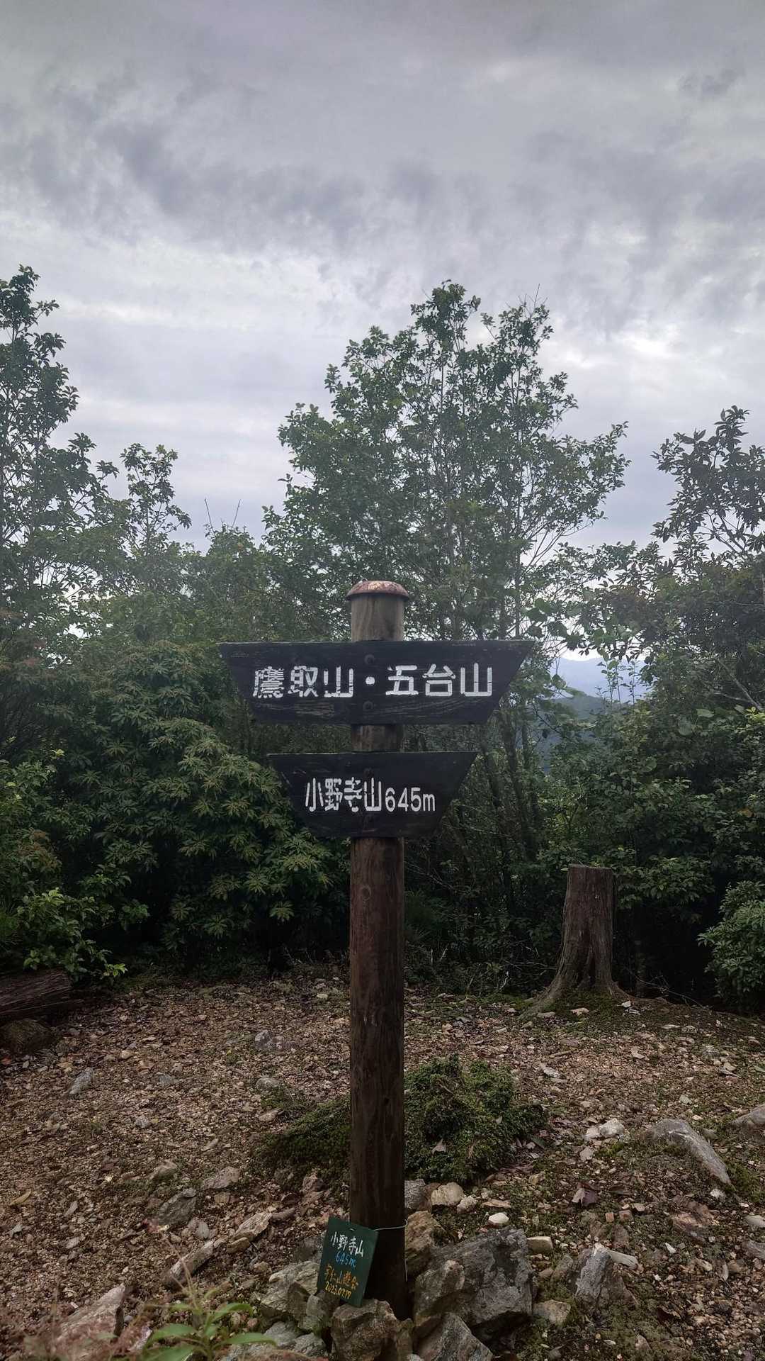 五台山登山口-鴨内峠-五台山 往復コースの写真