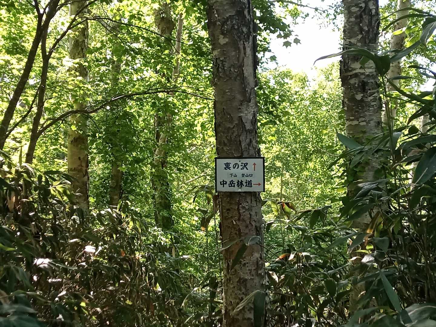先々週徘徊した地点