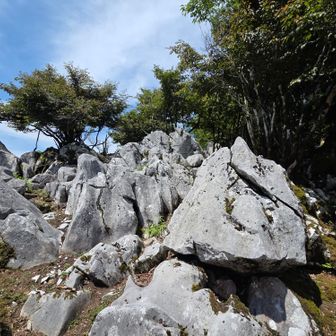 鈴鹿のお山みたい🪨