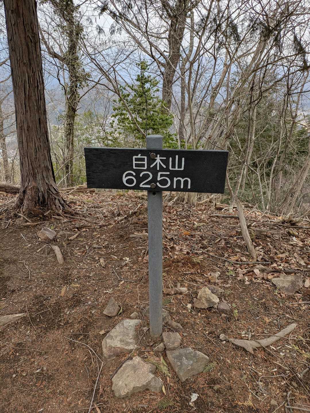 白木山到着