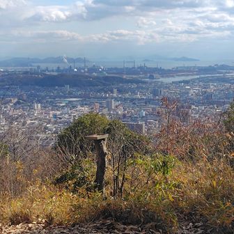 ヤマガラちゃん🐦️、入れ替わり立ち替わり飛んでくるのに、撮れず🤳❌️