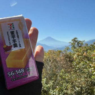 見晴らしのいい場所確保できたので、
🍙休憩
そして、セブンの蜜芋羊羹🍠食べた

陣取ったこの岩は、極上兄さんと同じでしたー🙏