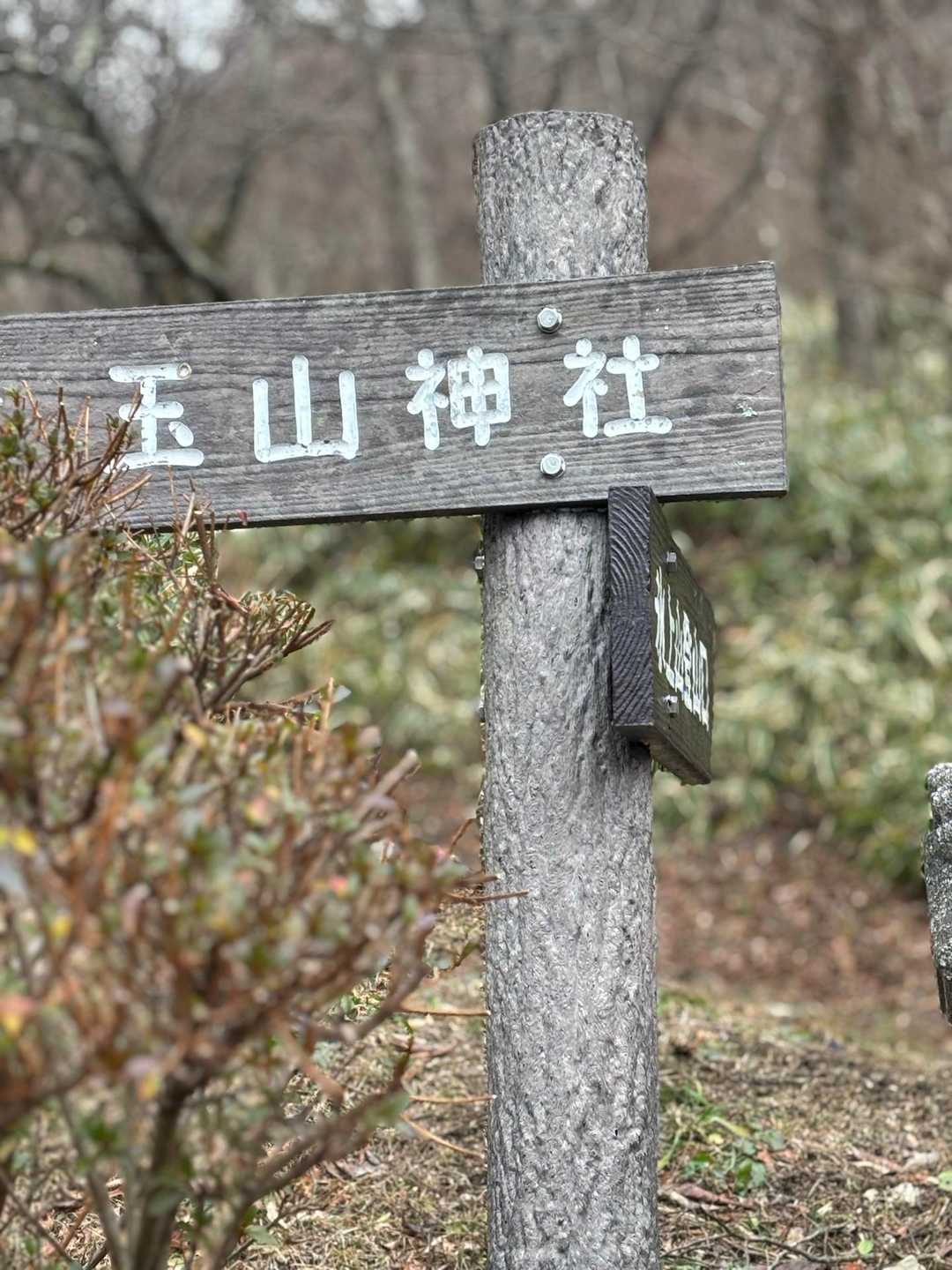 中央コース登山口-氷上山 縦走コースの写真