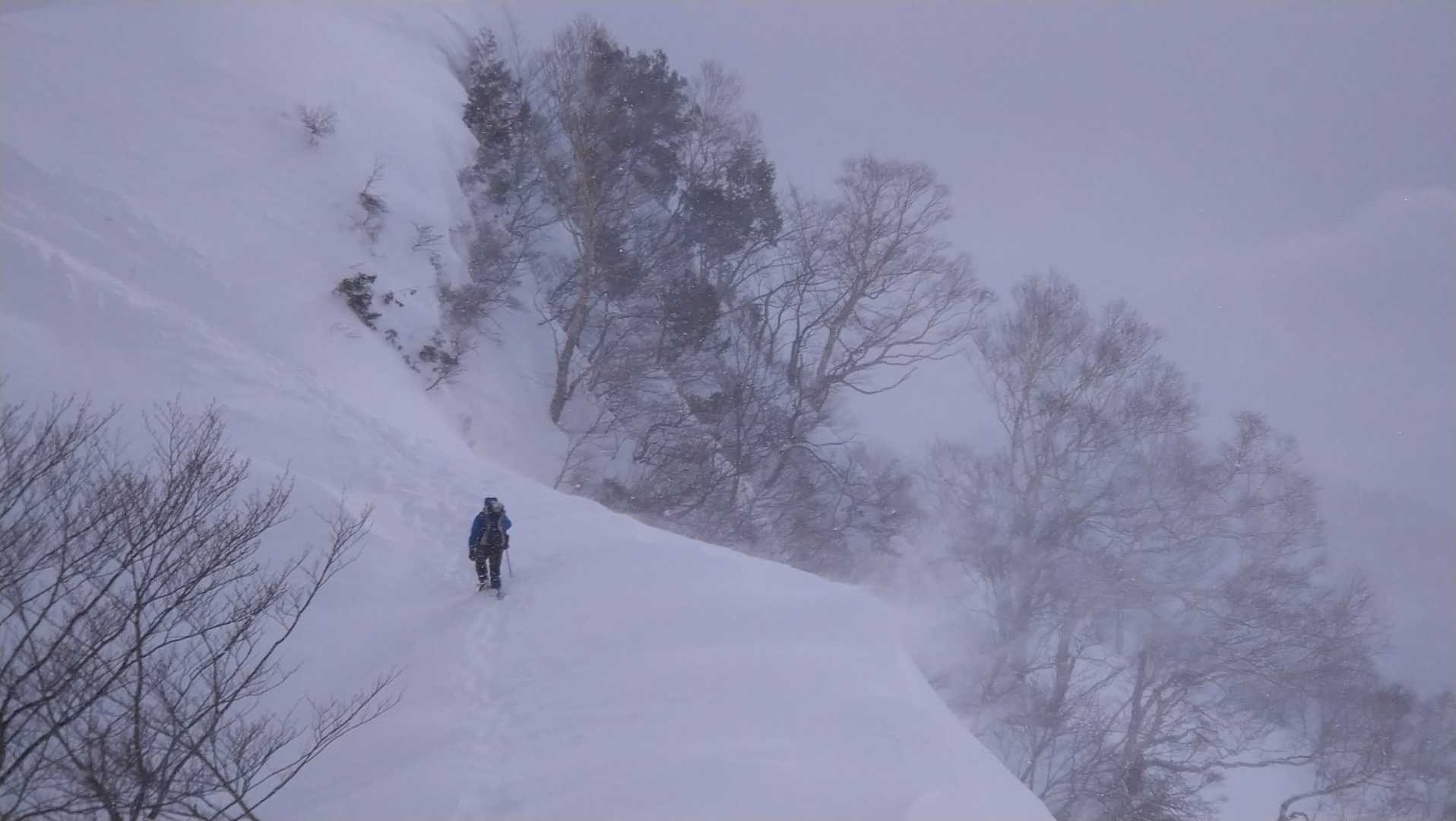 登山入口-熊穴沢ノ頭 往復コースの写真