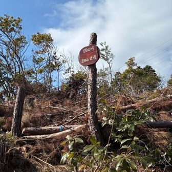 いったん峠まで下る