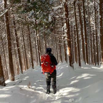 sachi 【くみさっちゃんねる】