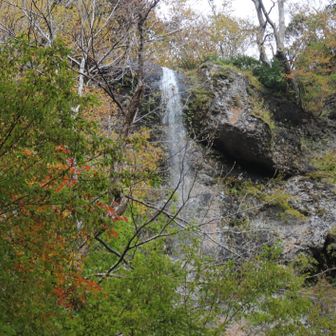 これが白滝