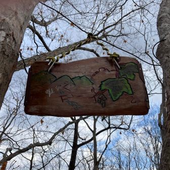 裏もオシャレーー