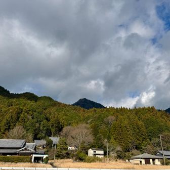 もう、雪は溶けてる☃️