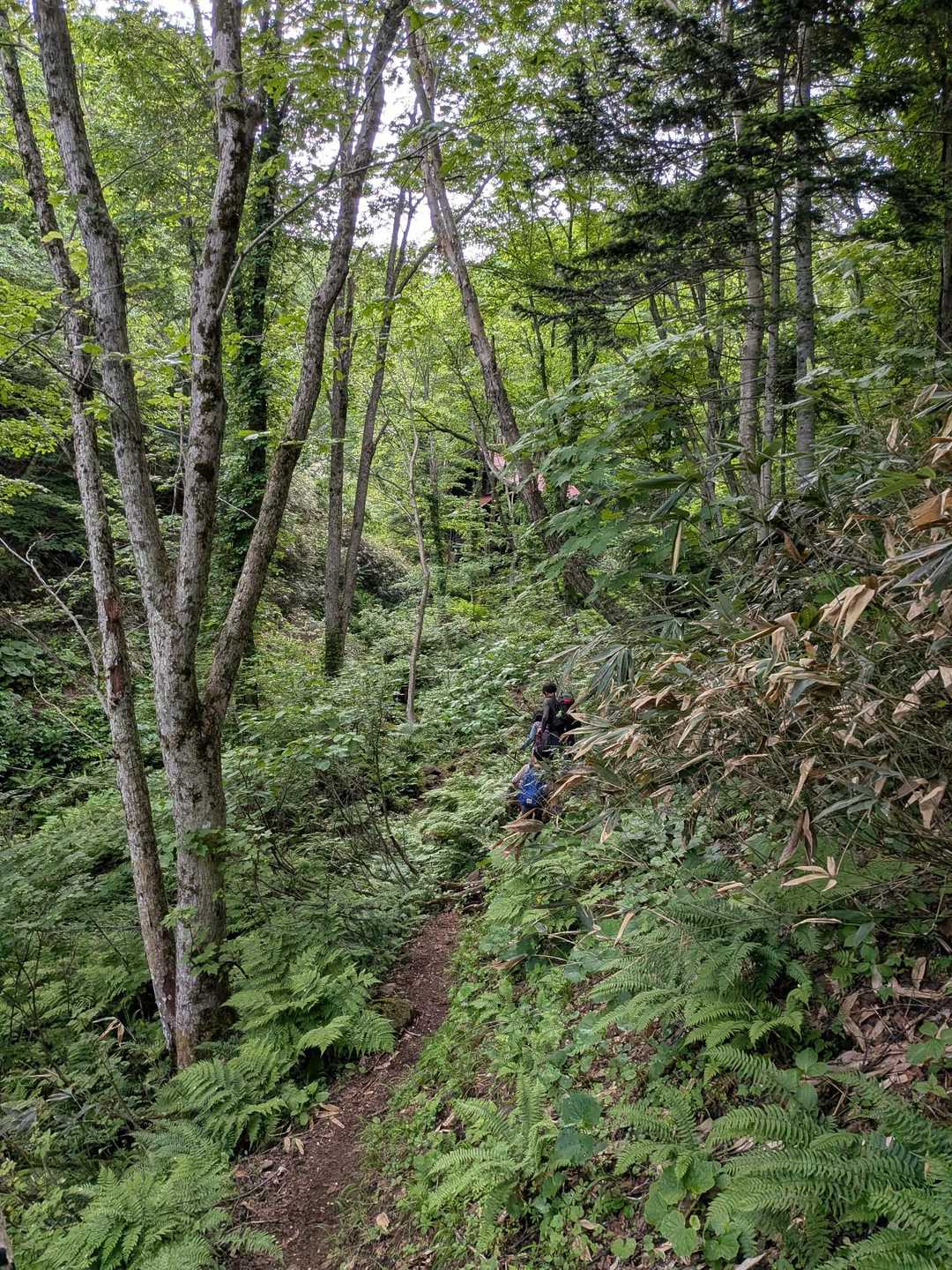 忍び寄る小学生に驚かされる登山者　すみませんでした