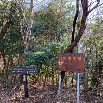 トラップに引っかかりまくって腹ペコMAX笑